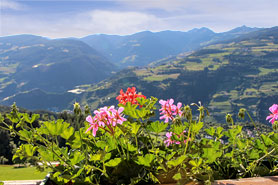 Der Balkon mit Fernsicht