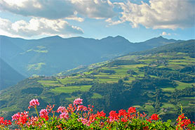 Una bella 
        vista al paese Lazfons