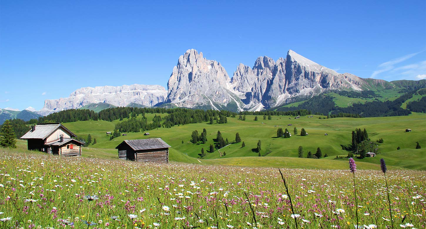 Escursioni sull`Alpe di Siusi