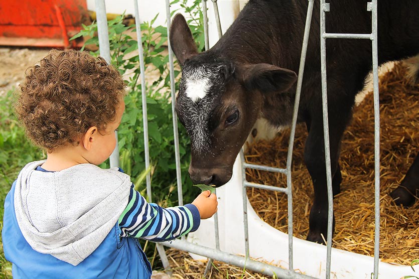 Kinderurlaub auf dem Bauernhof