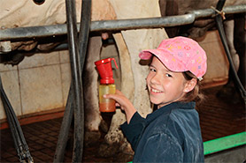 Mithilfe der Ferien-Kinder im Stall