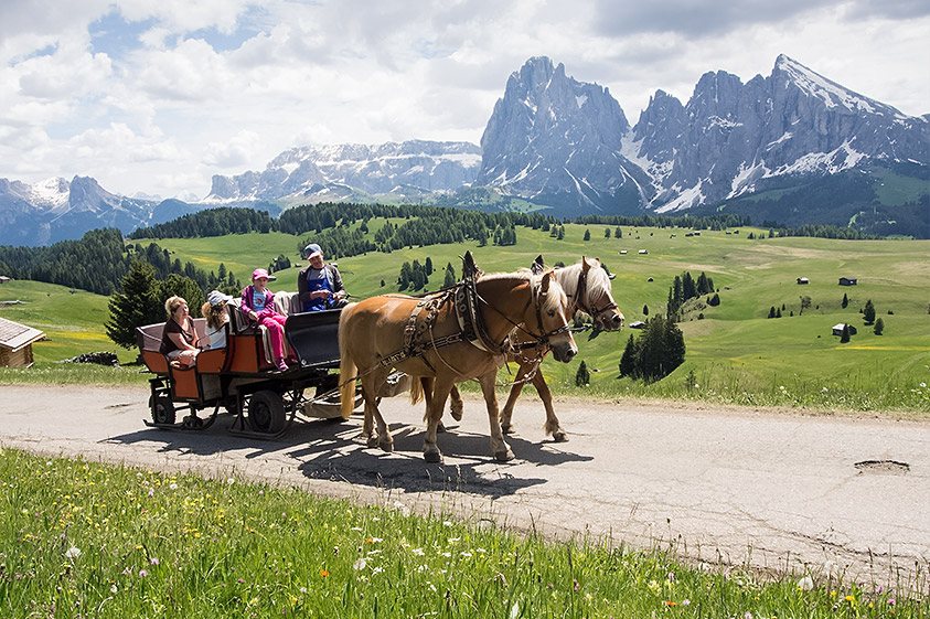 Gite in carrozza sulle Alpe di Siusi in Alto Adige