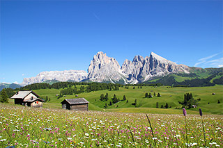 Escursioni sull`Alpe di Siusi